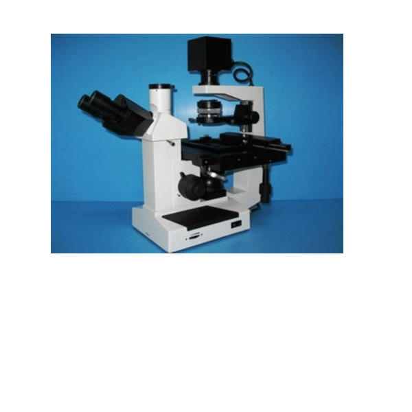 BV-L503倒立生物顯微鏡