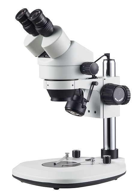 BV雙目光學立體顯微鏡 (上下光源)