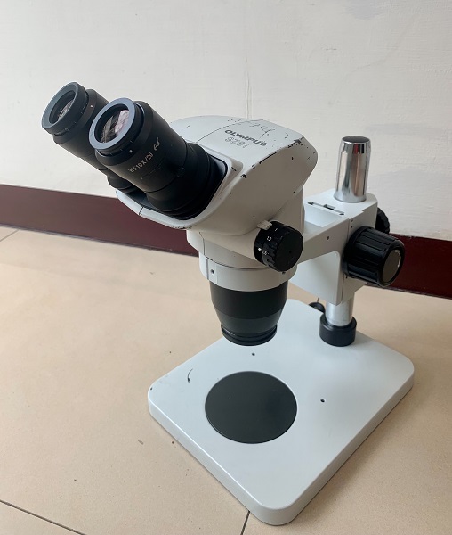 二手OLYMPUS SZ61雙目立體顯微鏡